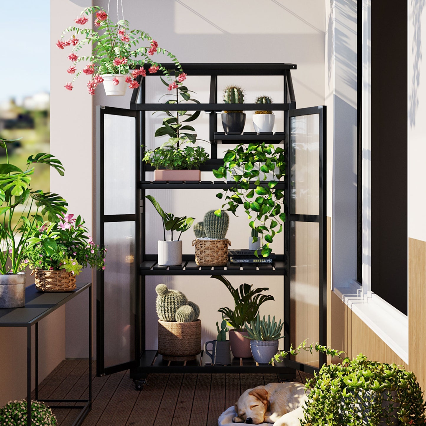 62 Inch Height Wood Large Greenhouse Balcony Portable Cold Frame with Wheels and Adjustable Shelves for Outdoor Indoor Use